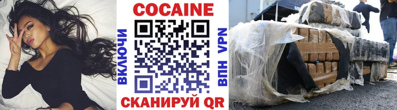OMG маркетплейс  Горно-Алтайск  Cocaine FishScale  купить  