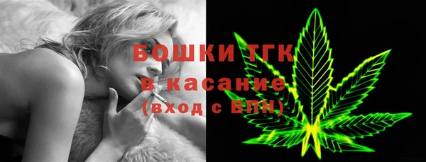 стаф Бородино