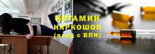 стаф Бородино