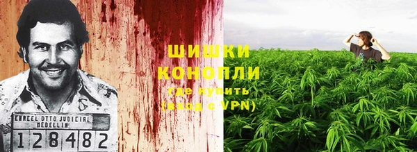 стаф Бородино