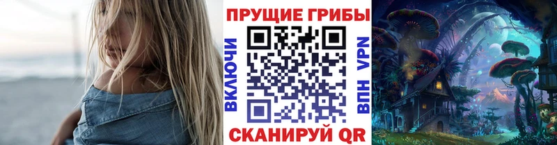 дарнет шоп  Горно-Алтайск  Псилоцибиновые грибы Psilocybine cubensis 